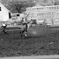 1987 Rodeo, Bronco Riding 16