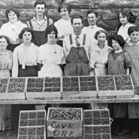 Cove, Cherry Packers