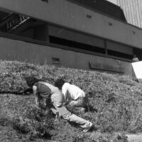 1984 Employees, Groundskeepers 03