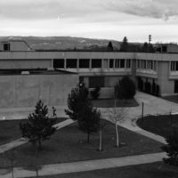 1982 Zabel Hall 10