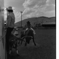 1989 Rodeo, Bull Riding 03