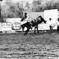 1986 Springfest, Rodeo Bronco Riding 03