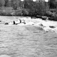 1983 Raft Race, Unmanned Raft 07