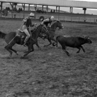 1984 Rodeo Club, Roping Pairs 06