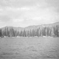 Oregon, Lake 29