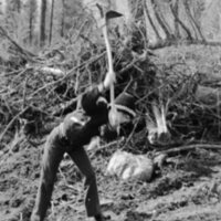 1974 Ackerman Elementary School, Field Trip 12