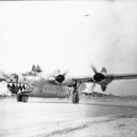 B-24, Shark Face Bomber