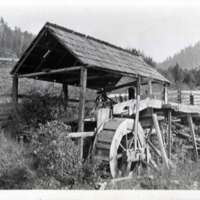 Wallowa, Saw Mill 1-1