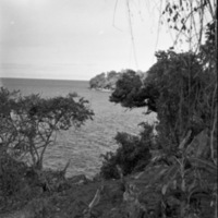Dobodura Jungle &amp; Bay