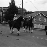 1981 Eastern Oregon Livestock Parade, Horses &amp; Riders 24