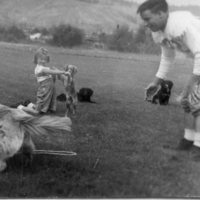 50's Football Dogs