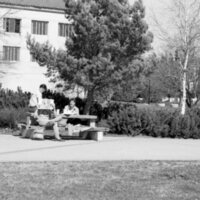 1986 Students, Outdoors in March 17