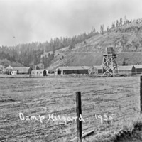 Camp Hilgard