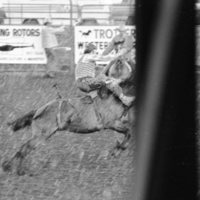 1978 Rodeo, Bronco Riding 03