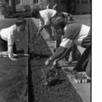 1989 Employees, Planting 09