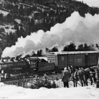 Train 3