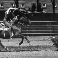 1982 EOSC Rodeo, Roping 01