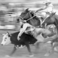 1979 Rodeo, Bulldogging 03