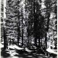 40's Oregon, Battle Mt. Park