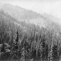Oregon, Scenery 2