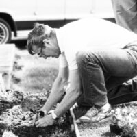 1988 Employees, Planting 05