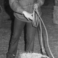 80's Rodeo, Roping 1