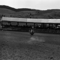 1981 Rodeo, Bronco Riding 04