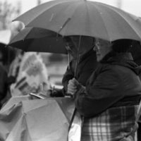 1988 Baseball Fans, Central at EOSC 01