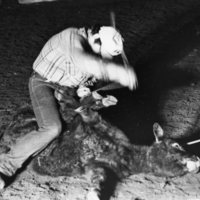 1976 Rodeo, Calf Roping 01