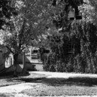 1978 Campus in Autumn 04