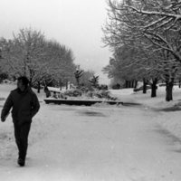 1983 Student, Walking 03