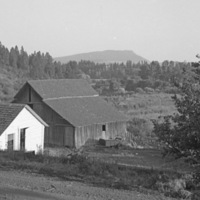 Elgin Farm, Bernal Hug Sr. 3
