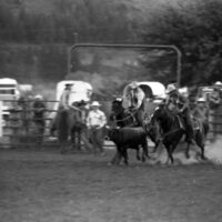 1979 Rodeo, Roping Pairs 09