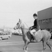 1981 Horses &amp; Riders 02