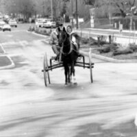 1988 Employee, Jack Johnson Carriage Ride 03