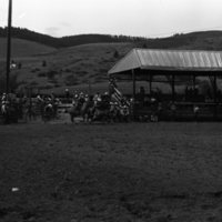 1981 Rodeo, Bulldogging 02