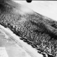 Aerial, North Coast of N.G. 1