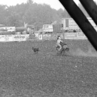 1978 Rodeo, Roping 01
