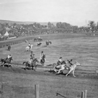 Rodeo, Cowgirl Race