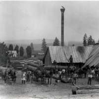 1900+/- Oregon, Saw Mill 2