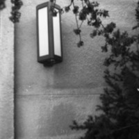 1981 Walter M. Pierce Library, Exterior Detail 02