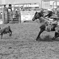 1986 Springfest, Rodeo Roping 02