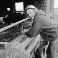 1974 Livestock Ranch 01