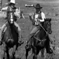 1986 Rodeo, Cowboys 16