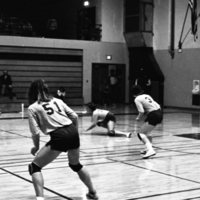 1981 Volleyball Action 02