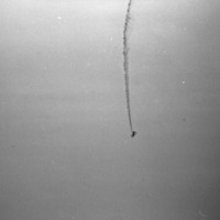 La Grande, Air Show 6