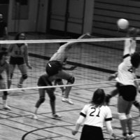 1981 Volleyball Action 27