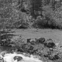 Cove, Park and Stream 2
