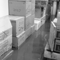 1978 Hoke Flood, Storeroom 1-5