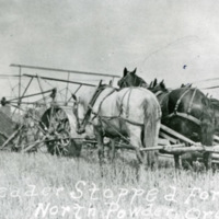 North Powder, Header Harvest